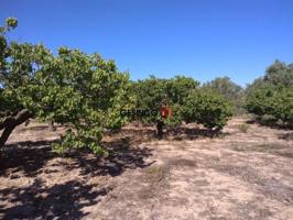 Terreno en venta en Ontinyent, Senda 5 Germans photo 0