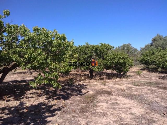 Terreno en venta en Ontinyent, Senda 5 Germans photo 0