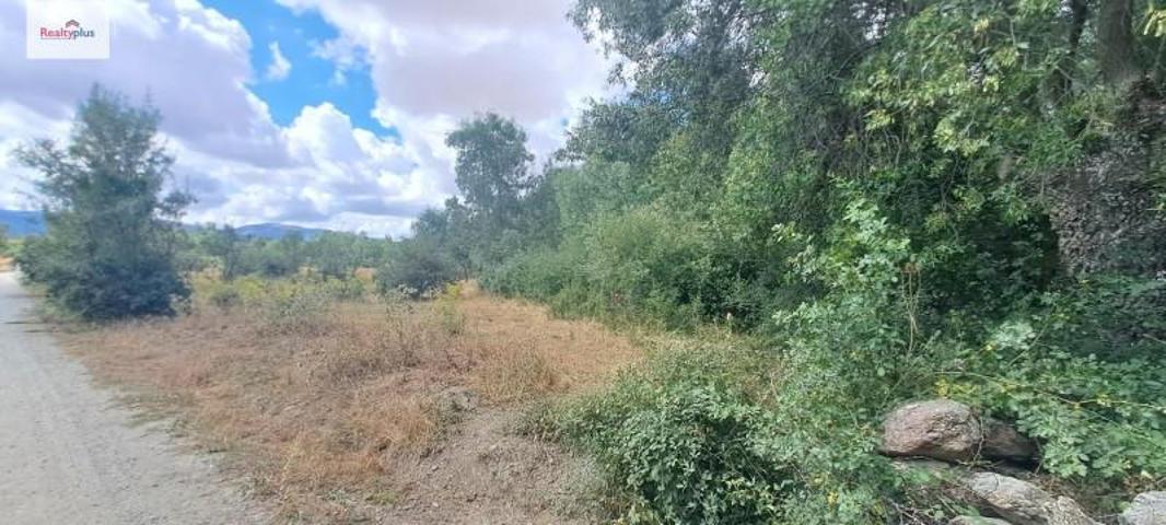 Terreno en venta en Sotosalbos, Sotosalbos photo 0