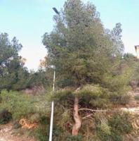 Terreno en venta en Segur de Calafell, Segur estacion photo 0