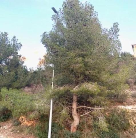 Terreno en venta en Segur de Calafell, Segur estacion photo 0