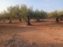 Chalet en venta en Camarles, Camarles photo 0