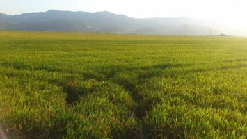 Terreno en venta en Cullera, Cullera photo 0