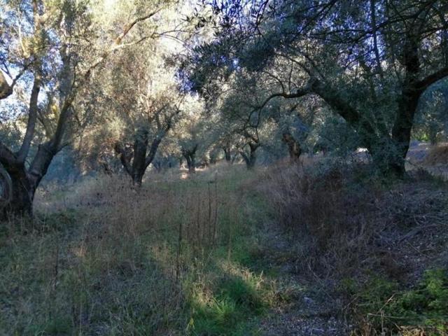 Casa con terreno en venta en Dúrcal photo 0