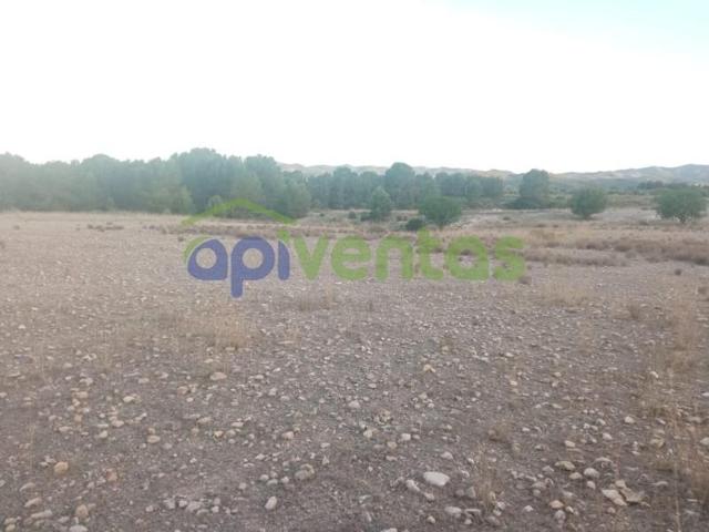 Chalet en venta en Lorca, Diputación de Jarales photo 0