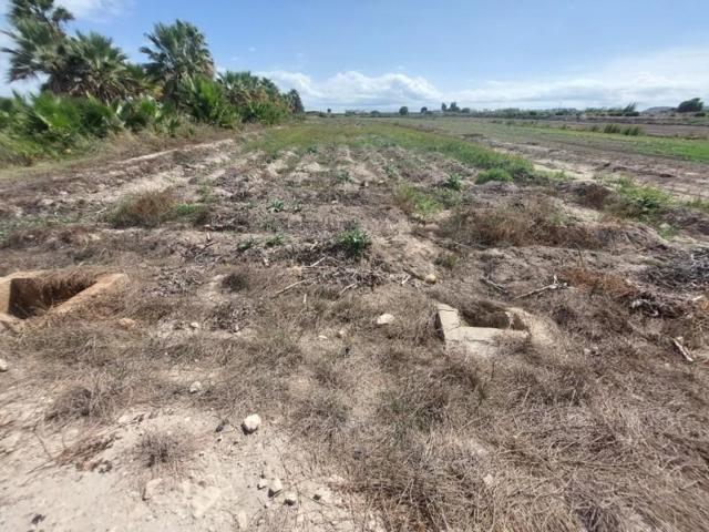Terreno en venta en San Fulgencio photo 0
