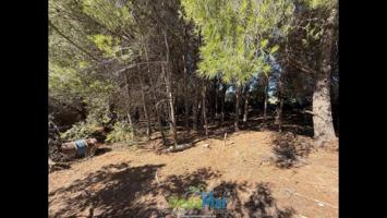 Terreno en venta en Otívar, Kilometro 40, 18698 photo 0