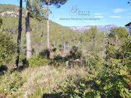Terreno en venta en Bigues i Riells, Bigues I Riells photo 0