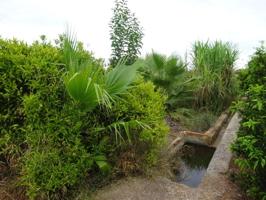 Terreno en venta en Almazora-Almassora, Les Boqueres-Zona norte photo 0