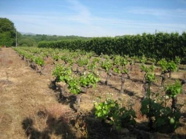 Terreno en venta en Carracedelo, Carracedelo photo 0