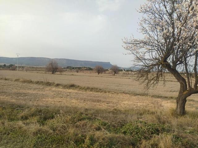 Terreno en venta en Almansa, El Hondo photo 0