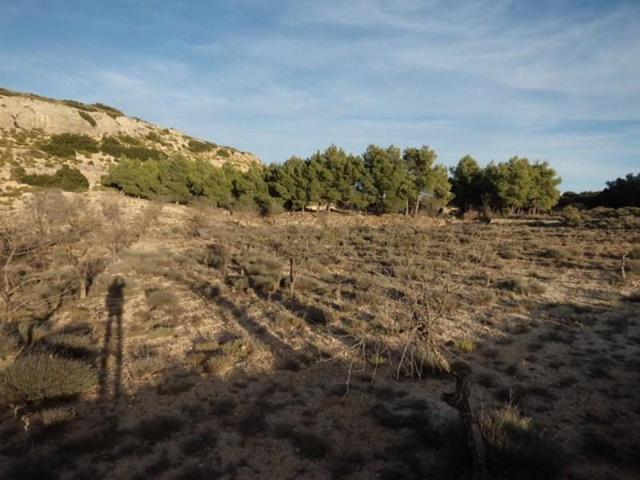 Terreno en venta en Almansa, Almansa photo 0