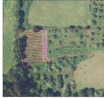 Terreno en venta en Villaviciosa, San Justo photo 0