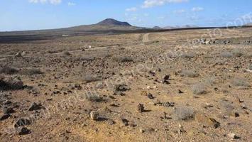 Terreno en venta en Teguise, Costa Teguise photo 0