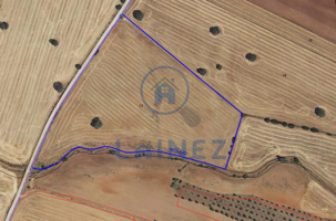 Terreno en venta en Fuente Obejuna, Fuente Obejuna, Fuente Obejuna photo 0