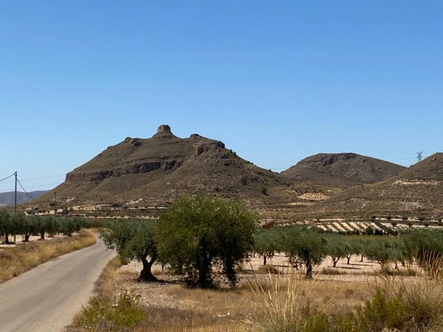 Terreno en venta en Jumilla, JUMILLA RURAL photo 0