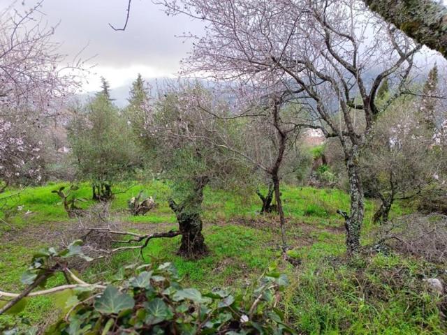 Terreno en venta en Benaocaz, Benaocaz photo 0