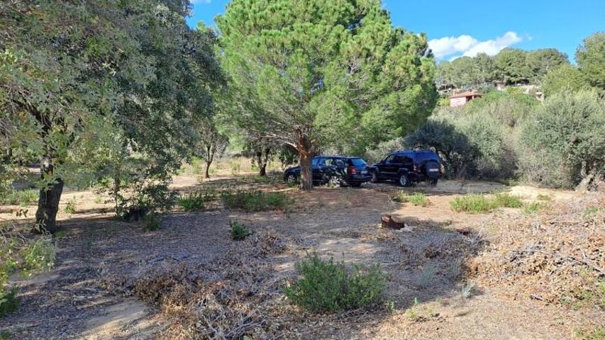 Terreno en venta en Maspujols, Partida Camp de Vacas photo 0