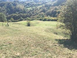 Terreno en venta en Vega de Liébana, Vega de Liébana photo 0
