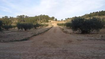 Terreno en venta en Jumilla, ZARZA photo 0