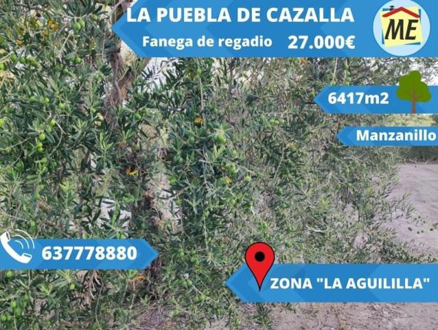 Chalet en venta en La Puebla de Cazalla, La Puebla De Cazalla photo 0