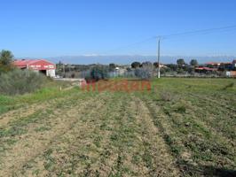 Chalet en venta en Peraleda de la Mata photo 0