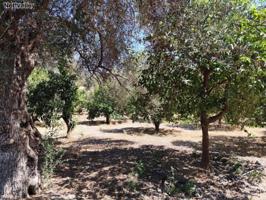 Casa con terreno en venta en Lecrín photo 0