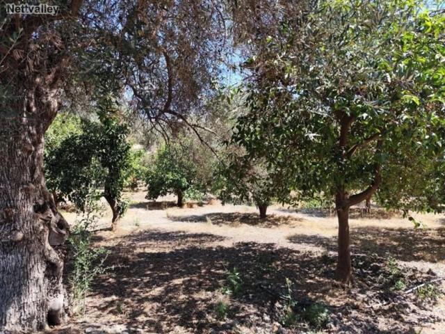 Casa con terreno en venta en Lecrín photo 0