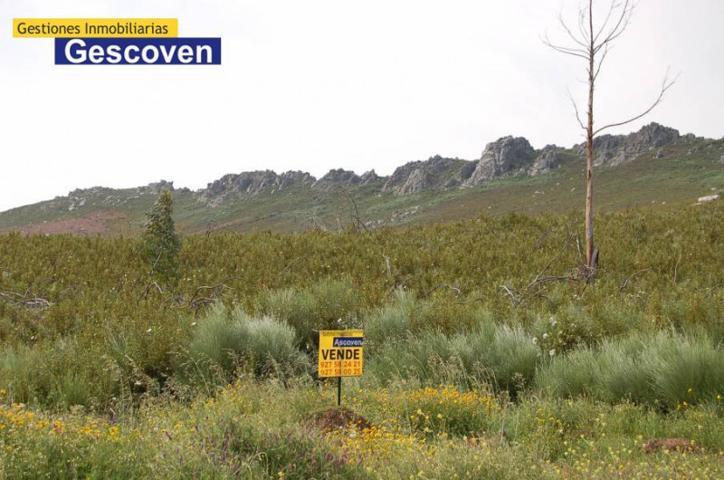 Chalet en venta en Valencia de Alcántara, Rústica photo 0