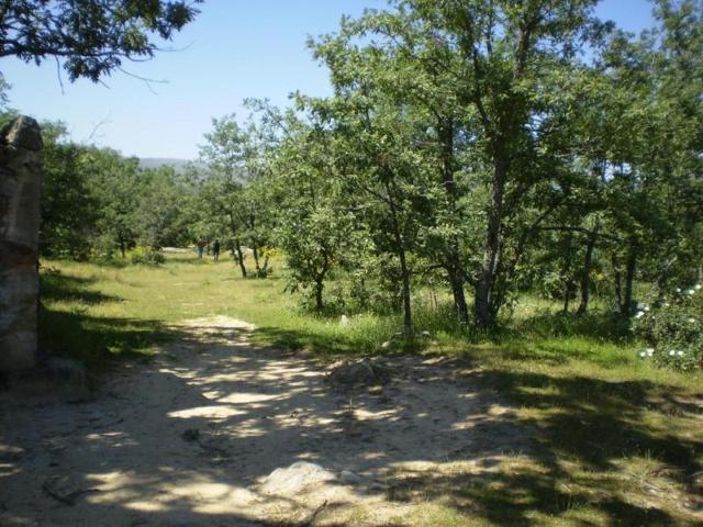 Terreno en venta en Golmayo, Pedrajas photo 0