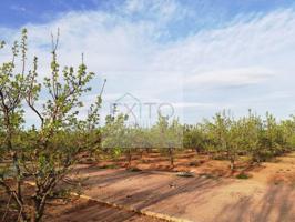 Terreno en venta en Benifaió photo 0