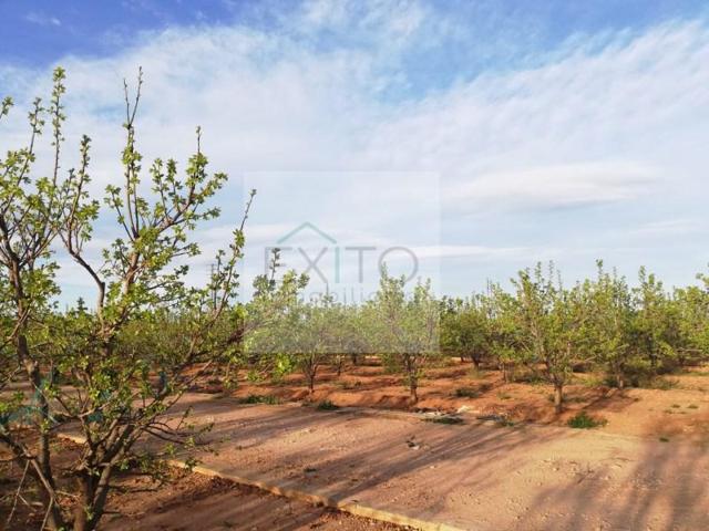 Terreno en venta en Benifaió photo 0