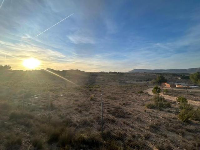 Terreno en venta en Almansa, Castilla la mancha photo 0