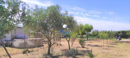 Terreno en venta en Utrera, Extrarradio - Don Rodrigo photo 0