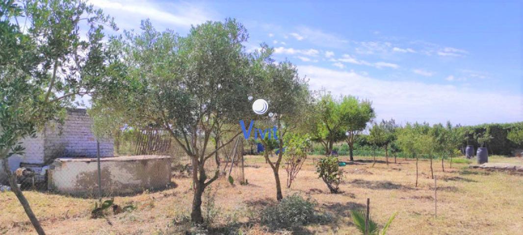 Terreno en venta en Utrera, Extrarradio - Don Rodrigo photo 0