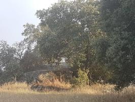 Terreno en venta en Esparragalejo, Alrededores photo 0