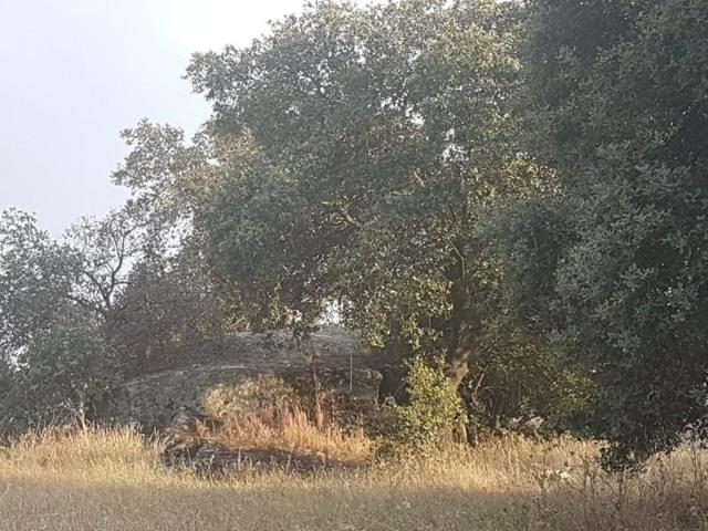 Terreno en venta en Esparragalejo, Alrededores photo 0