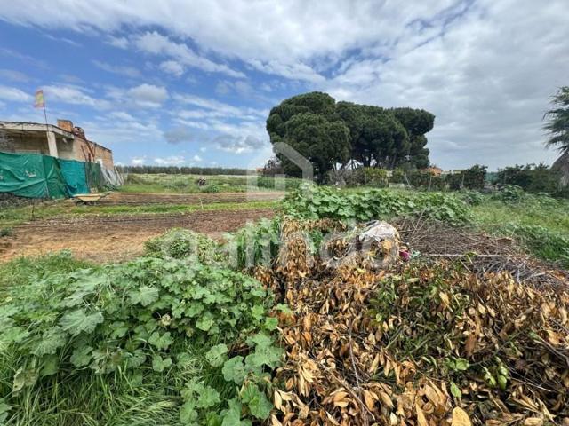 Terreno en venta en Paradas photo 0