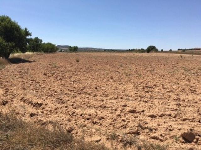 Terreno en venta en Almansa, San anton photo 0