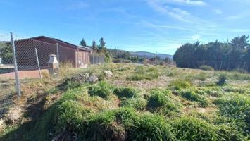 Terreno en venta en Peguerinos, Centro photo 0