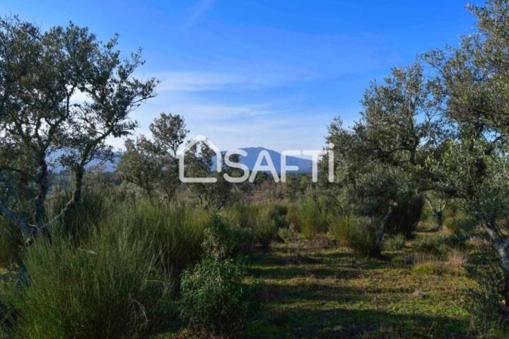 Terreno en venta en Villasbuenas de Gata photo 0