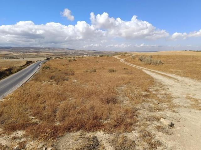 Chalet en venta en Otura, Andalucia photo 0