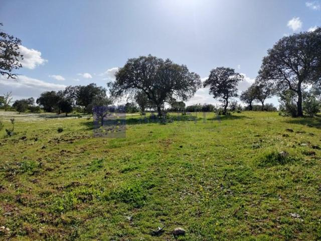 Chalet en venta en Membrío photo 0