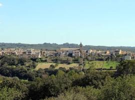 Terreno en venta en Llubí, Llubi photo 0