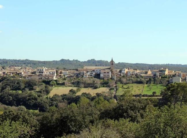 Terreno en venta en Llubí, Llubi photo 0