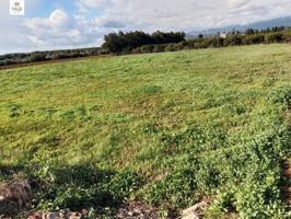 Terreno en venta en Llubí, Llubi photo 0
