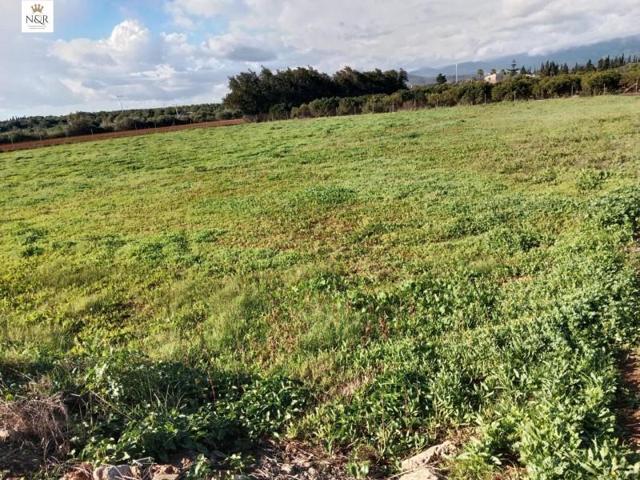 Terreno en venta en Llubí, Llubi photo 0