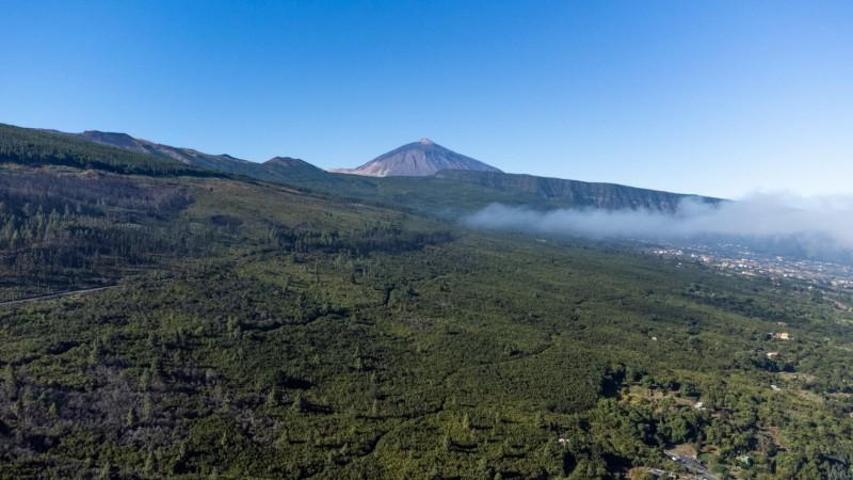 Terreno en venta en La Orotava, Aguamansa photo 0