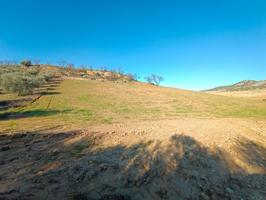 Terreno en venta en Casabermeja photo 0
