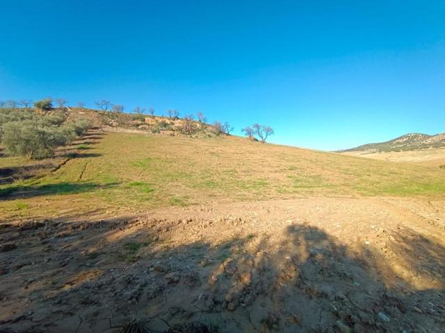 Terreno en venta en Casabermeja photo 0